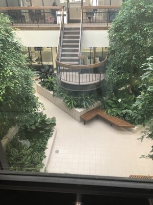 View of the atrium from the elevator.