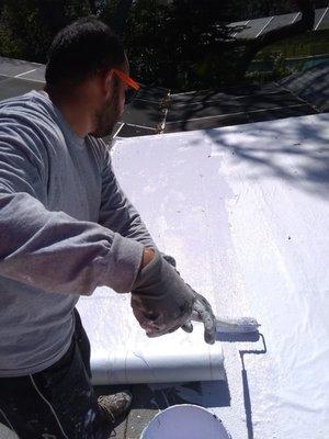 Flat Roof Coating