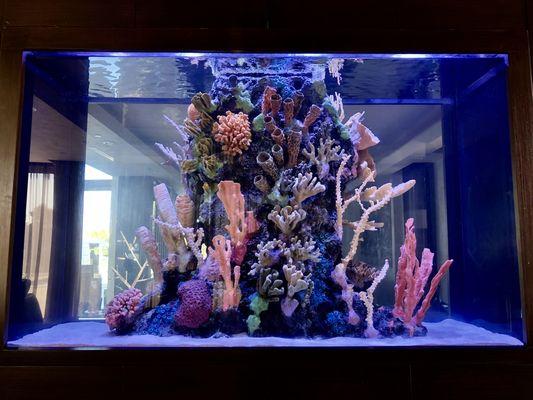 Artificial Reef 500 gal...