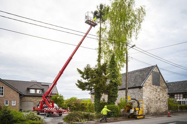 Aede & Brothers Tree Management