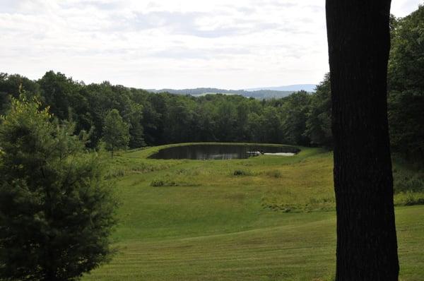 The pond at Rockgirt (with frogs)