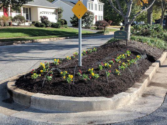 HOA flower installation