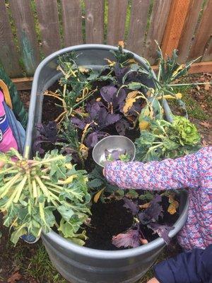 Tiny gardeners enjoying the outdoor play space.