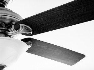 Ceiling fan cleaning