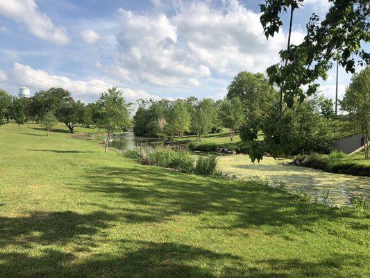 Brandt Park - OU Duck Pond:  Pond & Grass