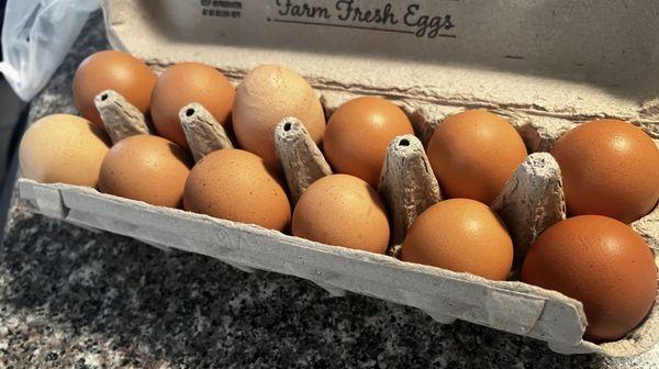 Farmer's Market Eggs on the left, store bought eggs on the right