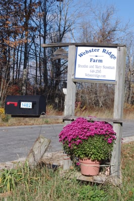 Fall on the farm