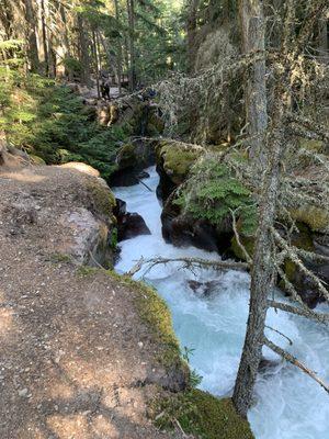 Trail of Cedars at Avalanche in Glacier National Park. LET'S GO!