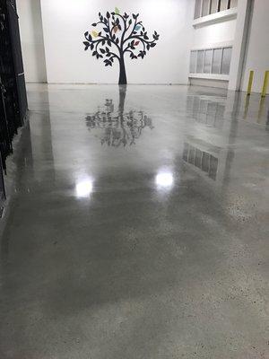 Polished Concrete using UPC Lithium Densifier and UPC Concrete Finish.