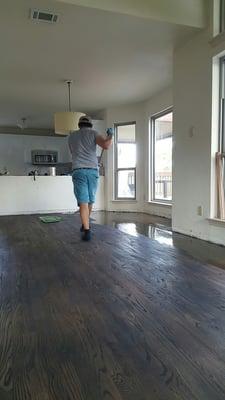 Hard woord floors Refinishing. 1st coat of polyurethane.