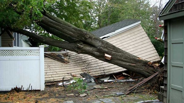 Wind Storm