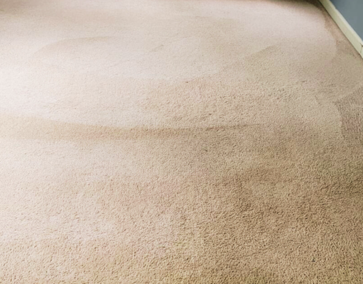 Residential Carpet Cleaning - After