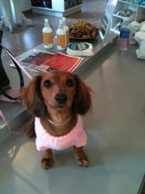 Happy customer at Johnny's Barkin' Bakery