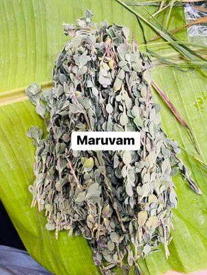 Maruvam Leaves