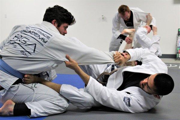 Gracie Jiu-Jitsu Athens