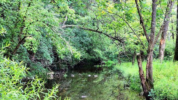 Small tributary feeding the Scioto.