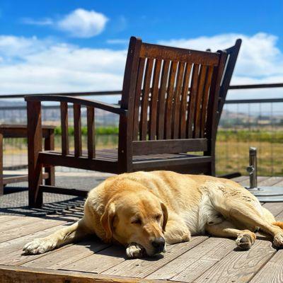 Larson Family Winery