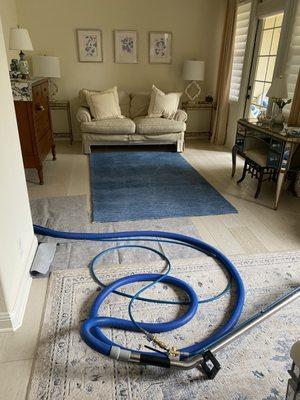 Cleaning wool area rugs