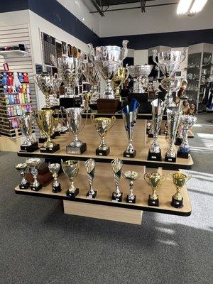 Beautiful Cup Trophies