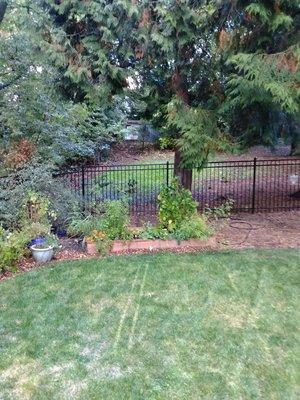 4' tall black ornamental steel fence Ameristar