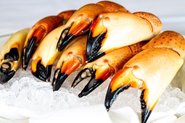 Stone Crab Outlet