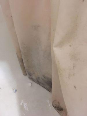 Extremely moldy shower curtain. I can't see how this isn't a safety violation.