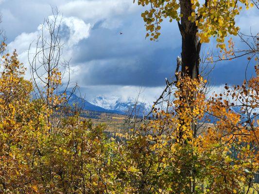 Fall near Mancos, Colorado!