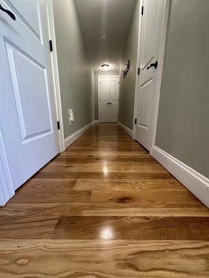 A long hallway of some beautiful oak flooring we sanded and refinished. Walls were painted as well.