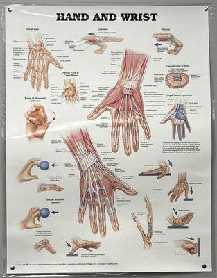 Able Hands Rehab