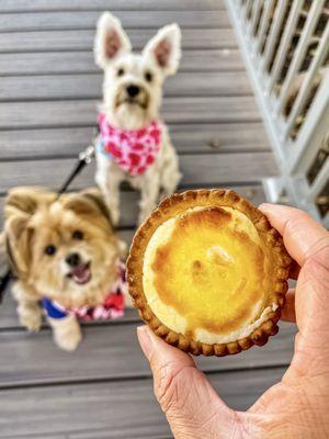 IG @FoodandPooch