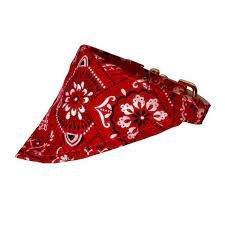 Red bandana dog collar