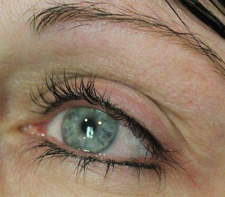 Eyeliner, Lash Enhancement in Black Orchard