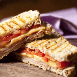 Turkey Panini