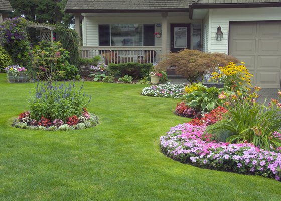 Lawn cutting and maintenance