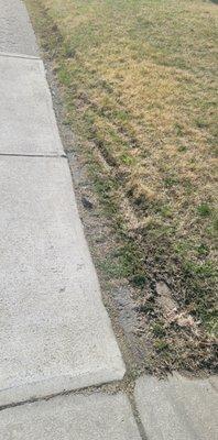 Lawn destroyed by workers truck