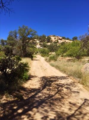 Road to the main house on a hill. The casitas are to the right and left.