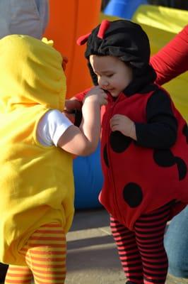 Ladybugs and Ducks at the Harvest Festival