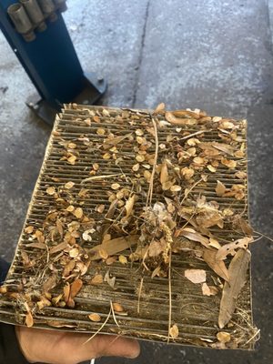 Dirty Cabin Filter