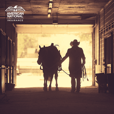 Barns need to be designed, built and maintained to minimize animal injury. Let us keep these valuable assets insured to replacement value!