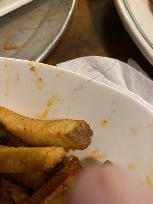 Picture of side order of the fries I ordered with a hair in it...