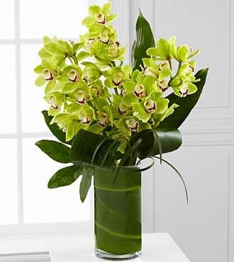 Green Cymbidium Orchids to die for