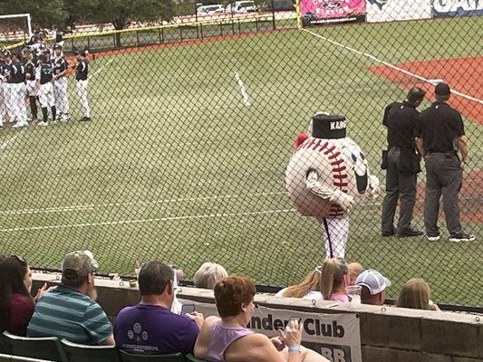 Brazos Valley Bombers