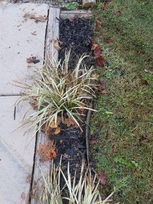 They ran over the flowerbed and hopelessly bent the metal garden barrier.