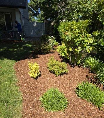 Nice and clean yard maintenance!