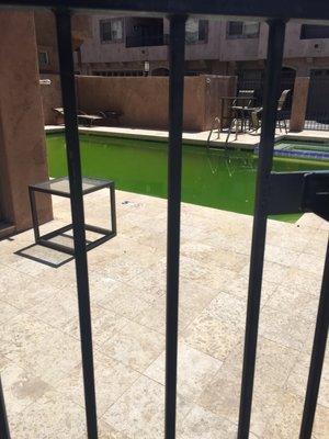 Green pool...city came to shut it down