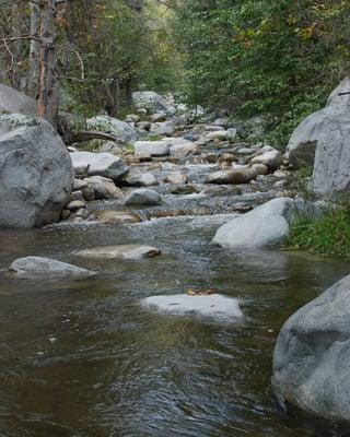 Sothern California Fly Fishing Expeditions