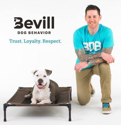 Bevill Dog Behavior