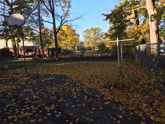 Before clearing the leaves and mowing the lawn