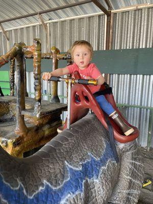 Riding the dinosaur! Options for dinosaurs that make noise and move mechanically or ones that just rock for kids that are scared.