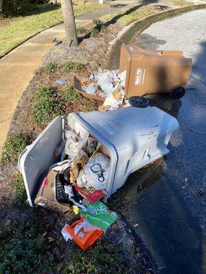 Trash can knocked by bear, WastePro drove away, their office told me "too bad", ...WastePro sucks!